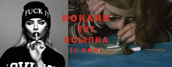 соль курить ск Каменка
