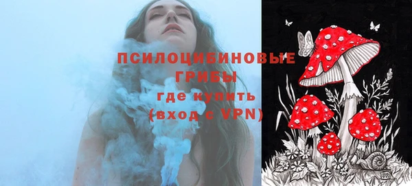 герыч Каменногорск