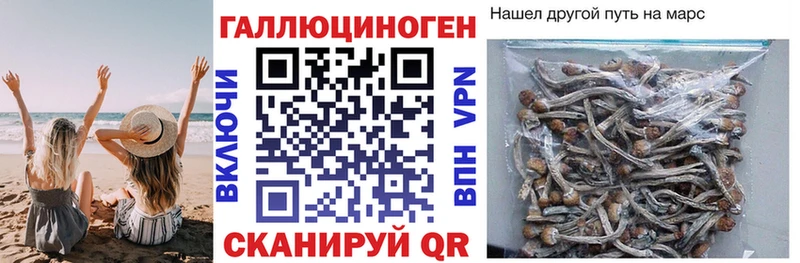 Галлюциногенные грибы GOLDEN TEACHER  Купить где  Кремёнки 